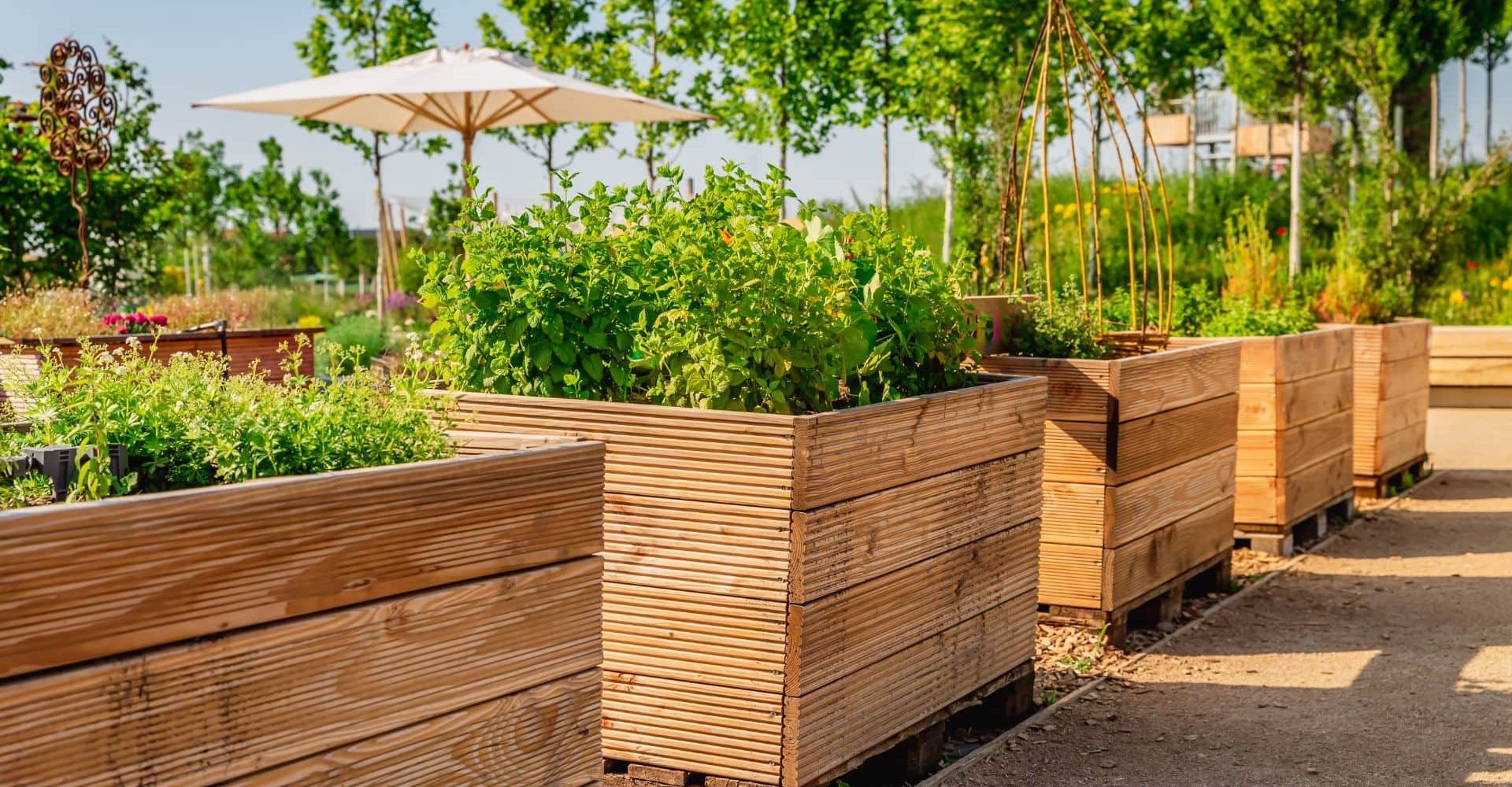 vysocina-zahrady (11)