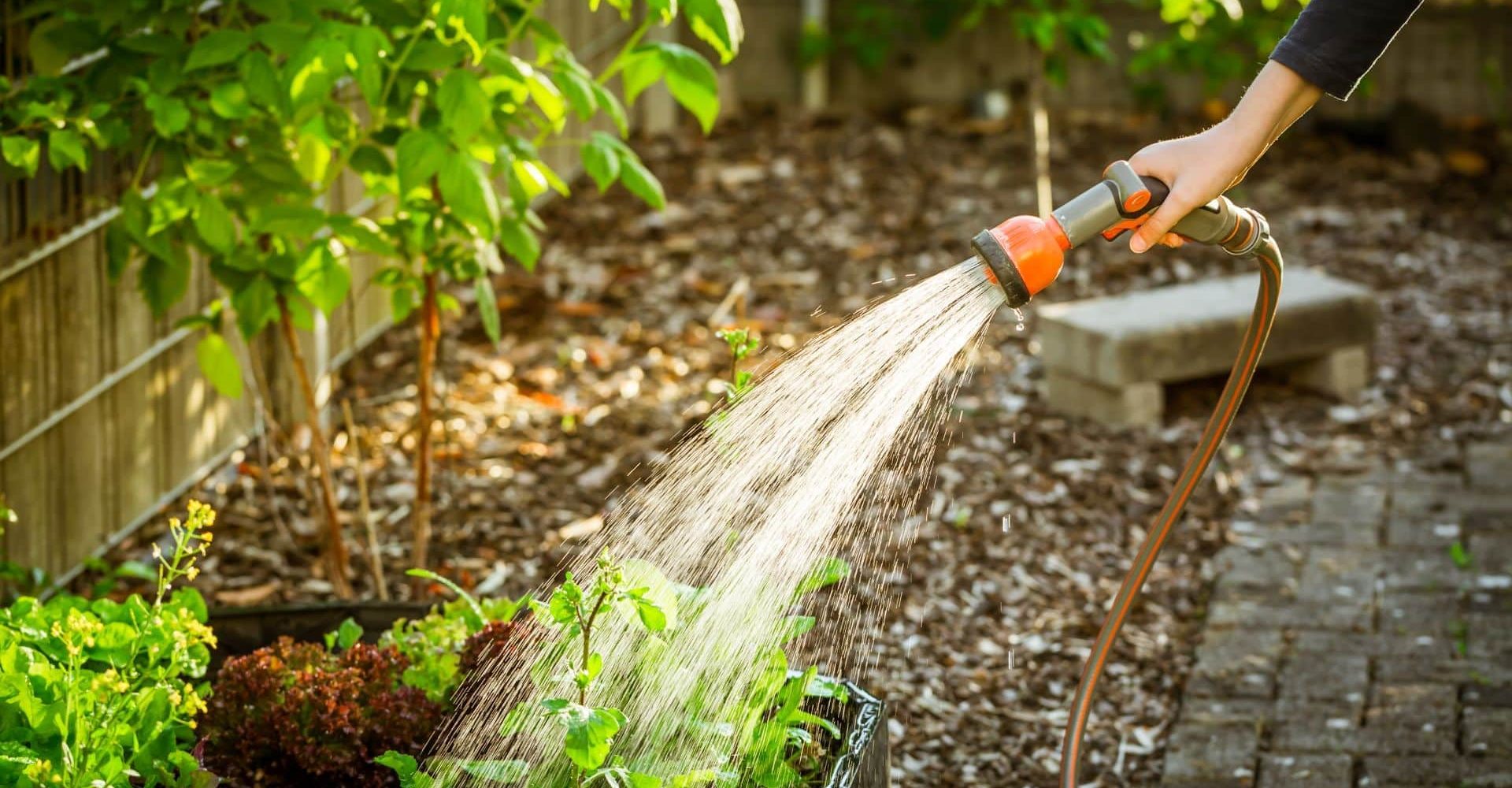 vysocina-zahrady (12)