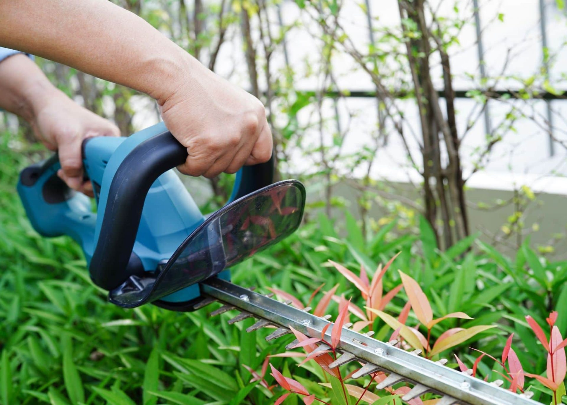 vysocina-zahrady (15)