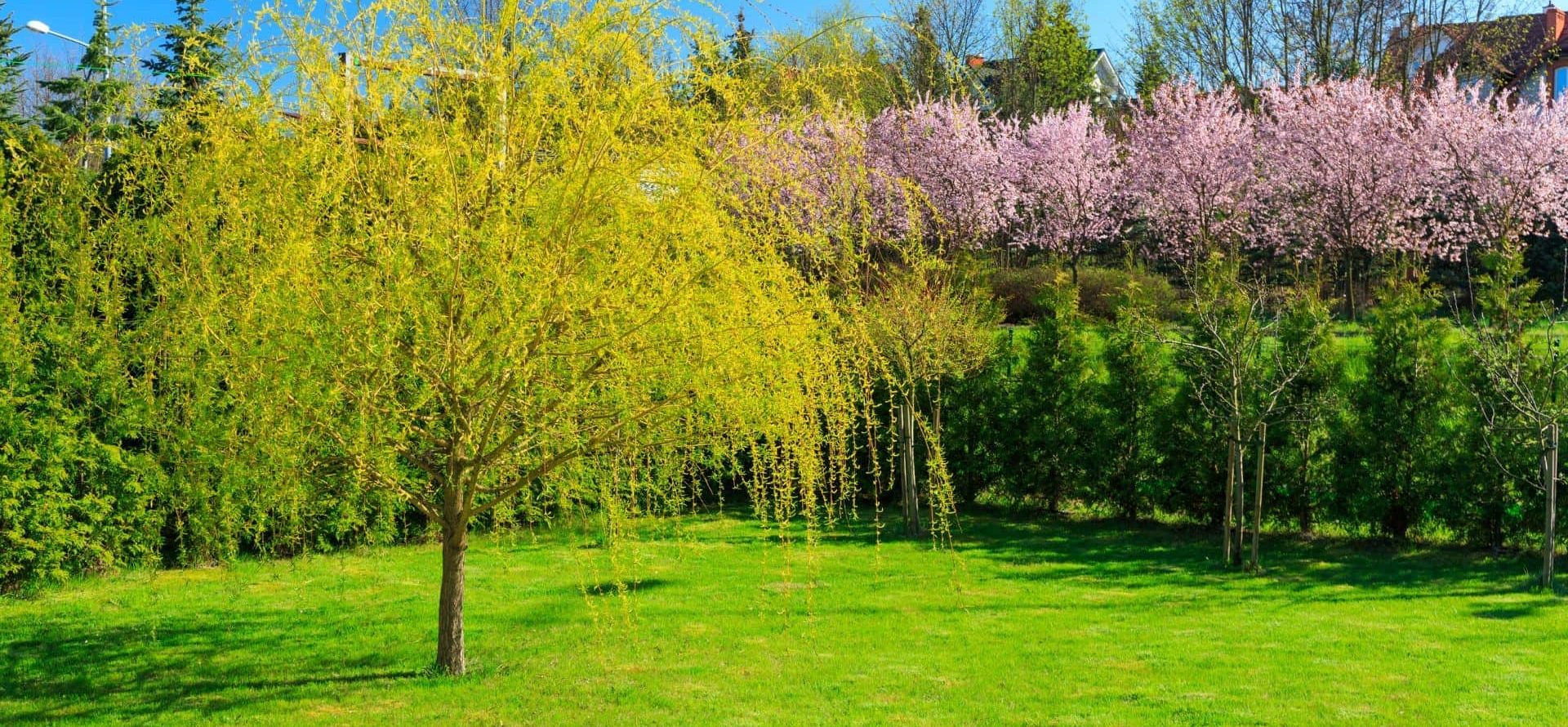 vysocina-zahrady (17)