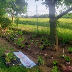 zahrady-vysocina (1)