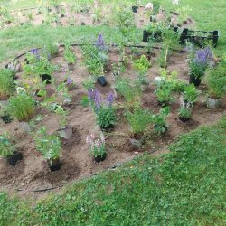 zahrady-vysocina (16)