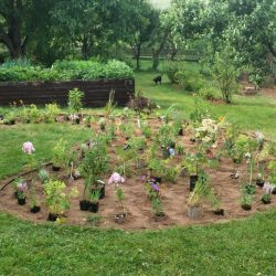 zahrady-vysocina (2)