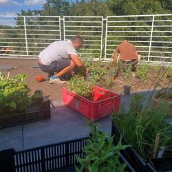 zahrady-vysocina (3)