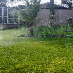 zahrady-vysocina (4)