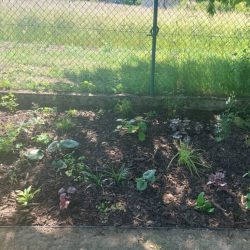 zahrady-vysocina (6)